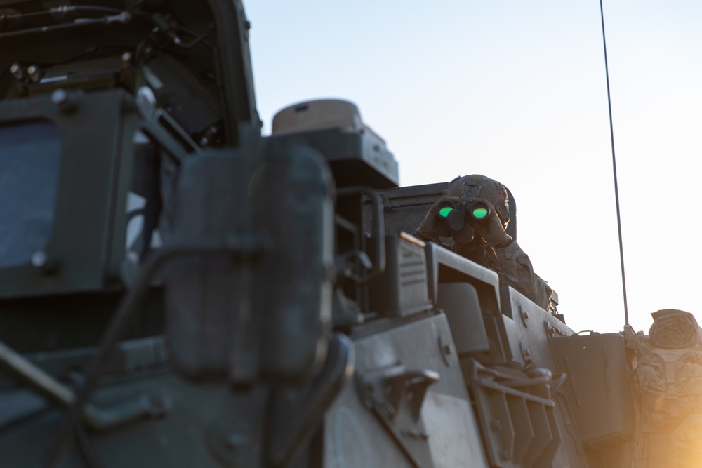 4th Infantry Division Conducts Border Security Operation Near Deming, New Mexico