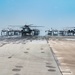 BH 25-2: Kadena demonstrates Indo-Pacific readiness with joint elephant walk