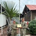 6 Year Reenlistment