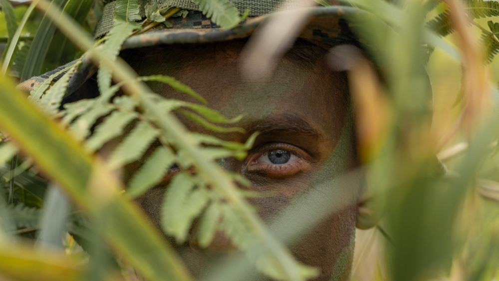 12th LCT Marines Improve Concealment Techniques