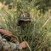12th LCT Marines Improve Concealment Techniques