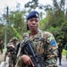 Combined forces conduct jungle patrol training during TRADEWINDS 25