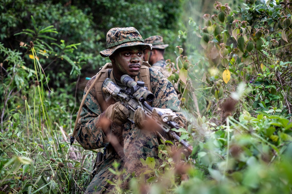 Combined forces conduct jungle patrol training during TRADEWINDS 25