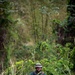 Combined forces conduct jungle patrol training during TRADEWINDS 25