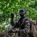Combined forces conduct jungle patrol training during TRADEWINDS 25