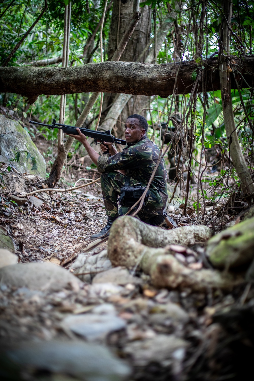 Combined forces conduct jungle patrol training during TRADEWINDS 25