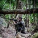 Combined forces conduct jungle patrol training during TRADEWINDS 25