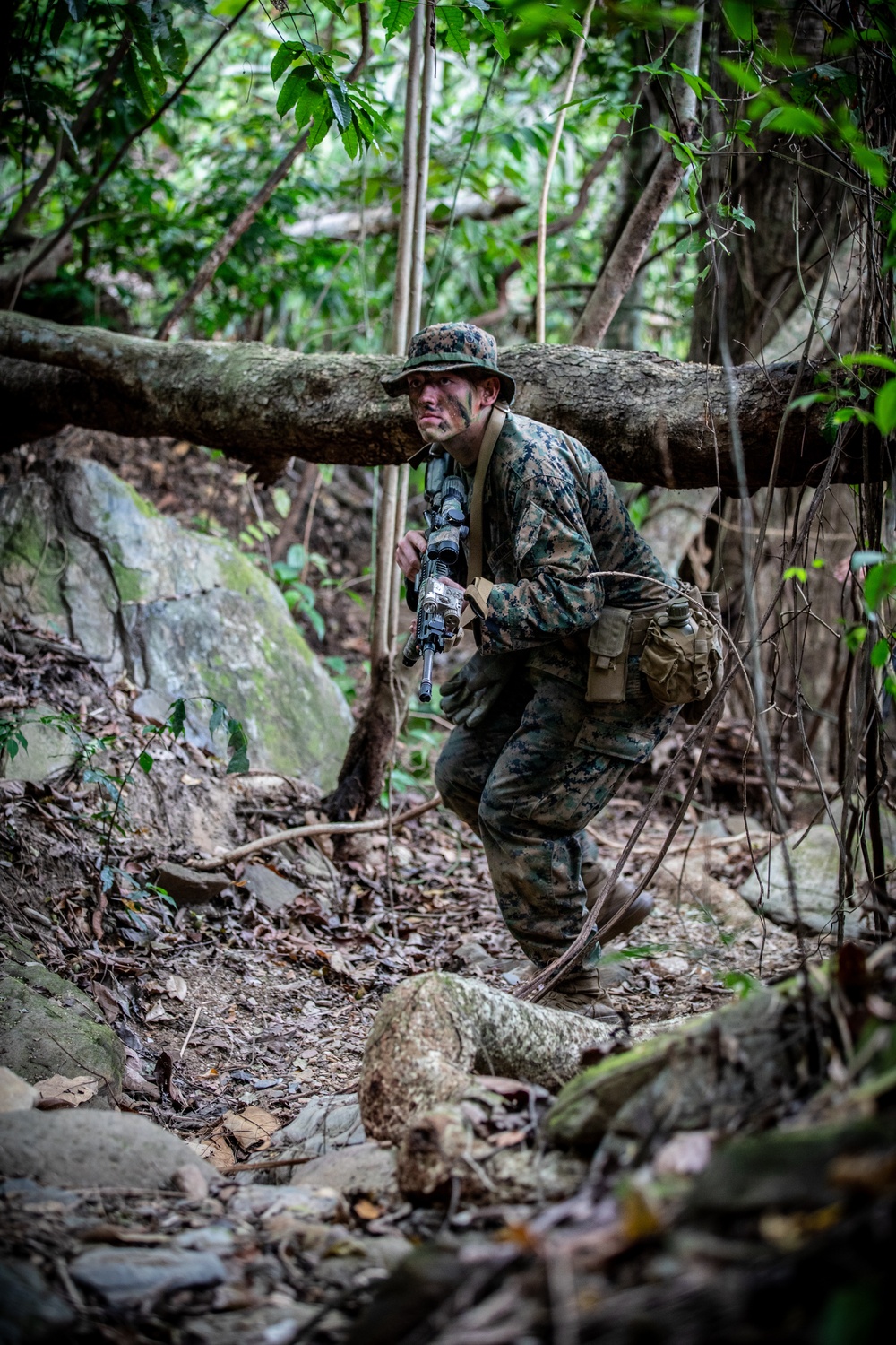 Combined forces conduct jungle patrol training during TRADEWINDS 25