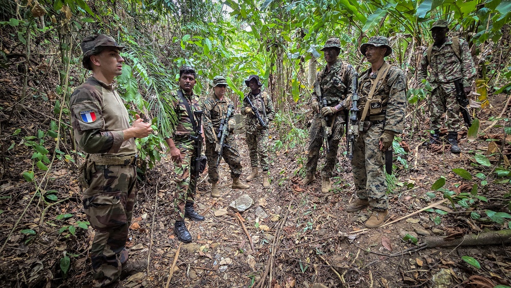 Combined forces conduct jungle patrol training during TRADEWINDS 25