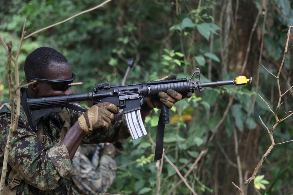 TRADEWINDS 25 Multinational Simulated Deliberate attack