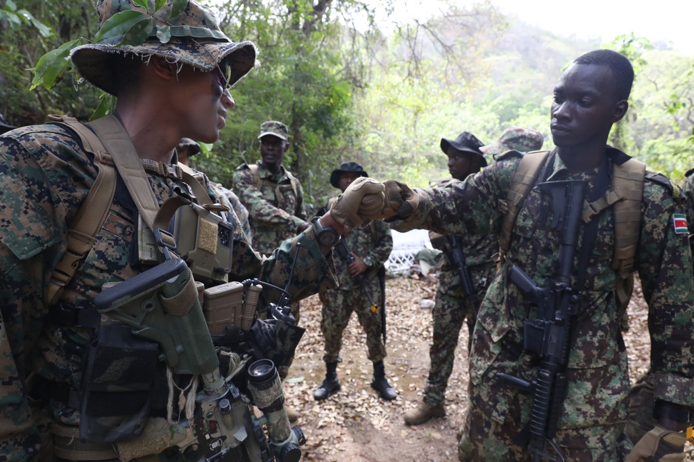  TRADEWINDS 25 Multinational Simulated Deliberate attack