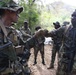  TRADEWINDS 25 Multinational Simulated Deliberate attack