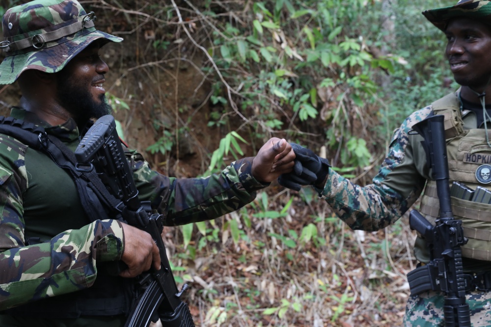 TRADEWINDS 25 Multinational Simulated Deliberate attack