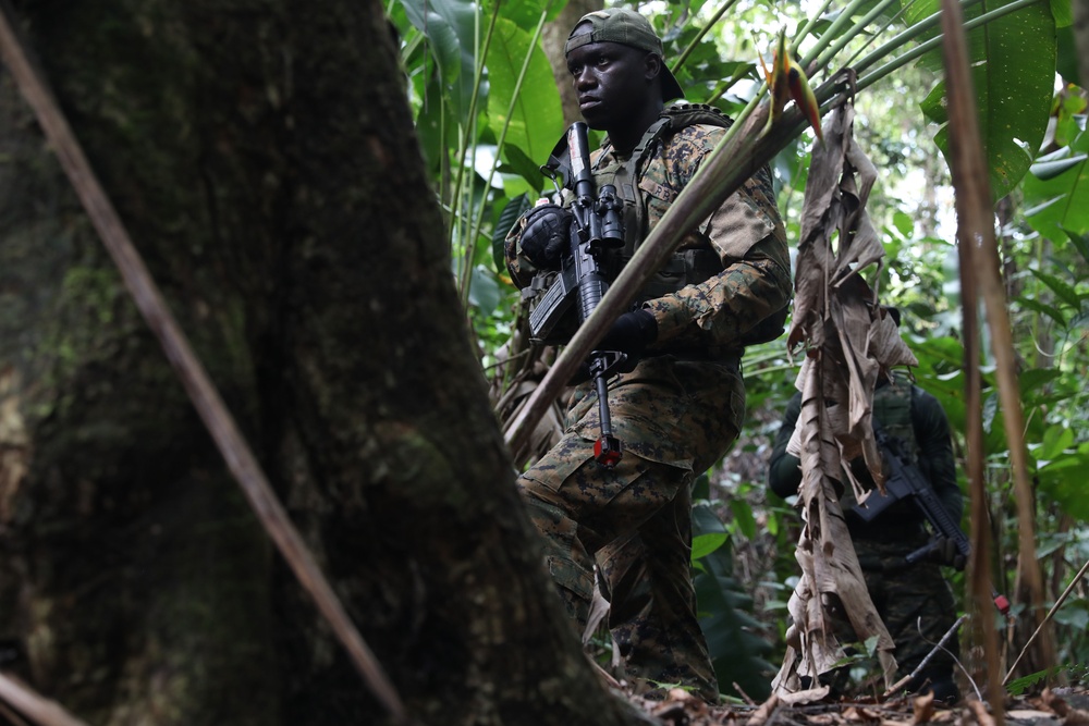 TRADEWINDS 25 Multinational Simulated Deliberate attack