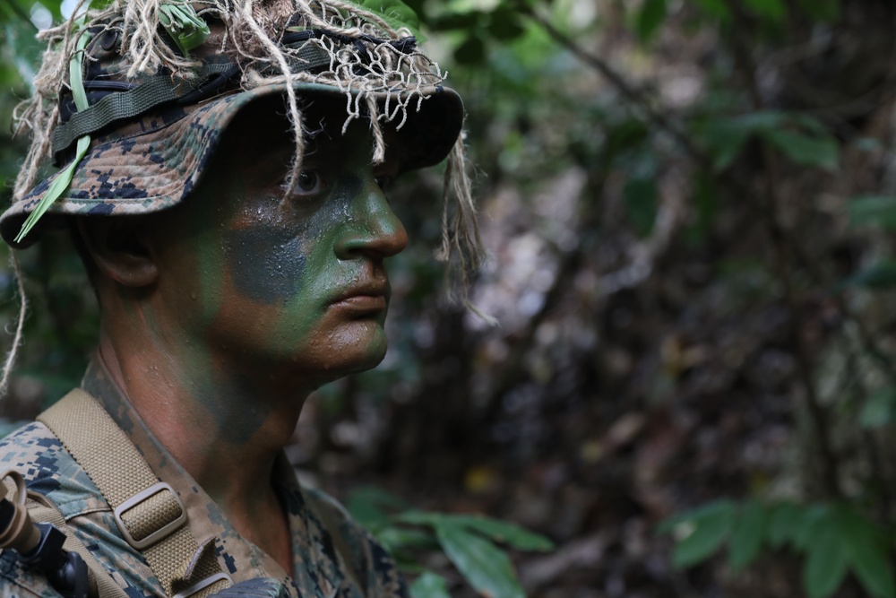 TRADEWINDS 25 Multinational Simulated Deliberate attack