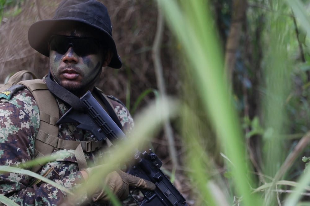 TRADEWINDS 25 Multinational Simulated Deliberate attack