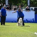 Paws, pride &amp; patriotism: Fort Stewart, Hunter hosts AKC competition for Army 250