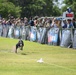 Paws, pride &amp; patriotism: Fort Stewart, Hunter hosts AKC competition for Army 250