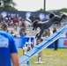 Paws, pride &amp; patriotism: Fort Stewart, Hunter hosts AKC competition for Army 250