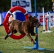 Paws, pride &amp; patriotism: Fort Stewart, Hunter hosts AKC competition for Army 250