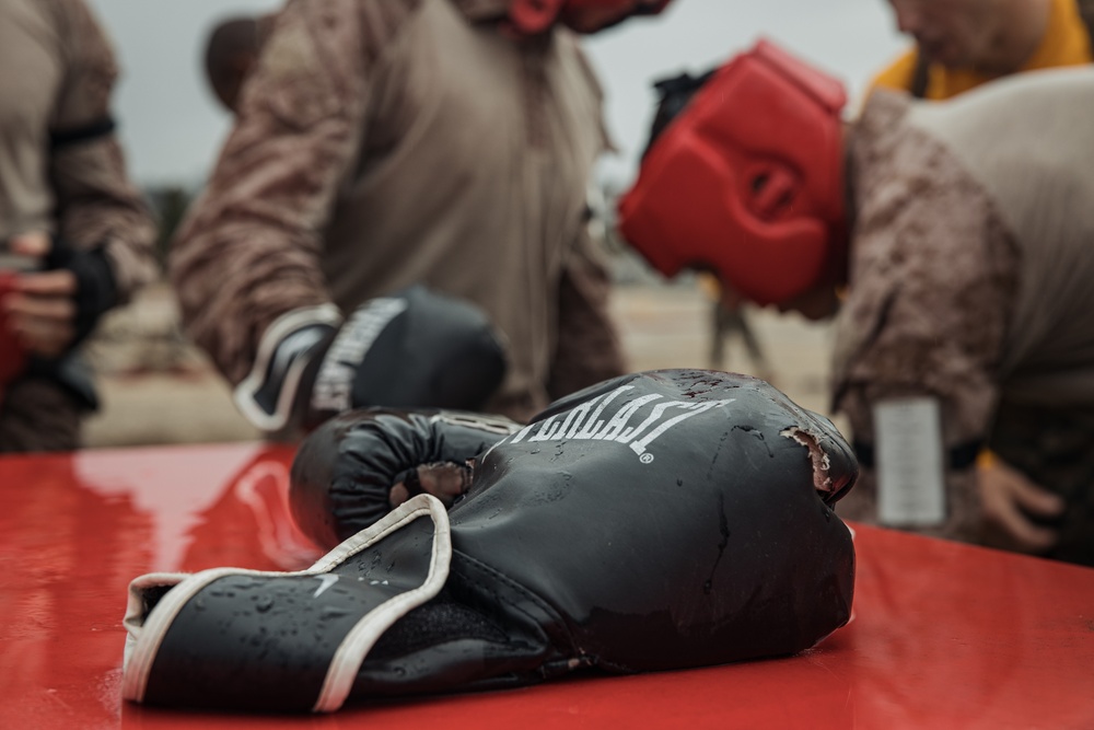 Fox Company Body Sparring