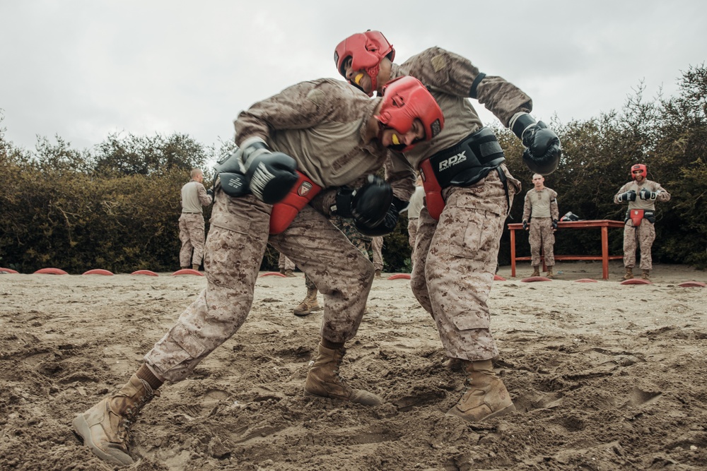 Fox Company Body Sparring
