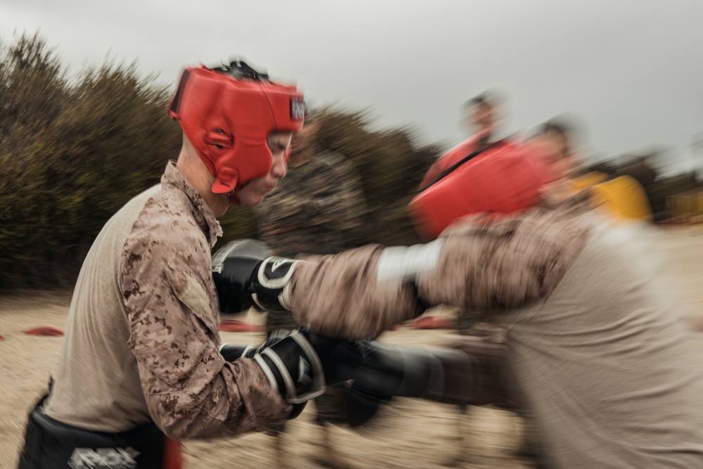 Fox Company Body Sparring