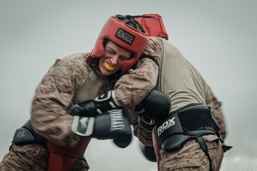 Fox Company Body Sparring