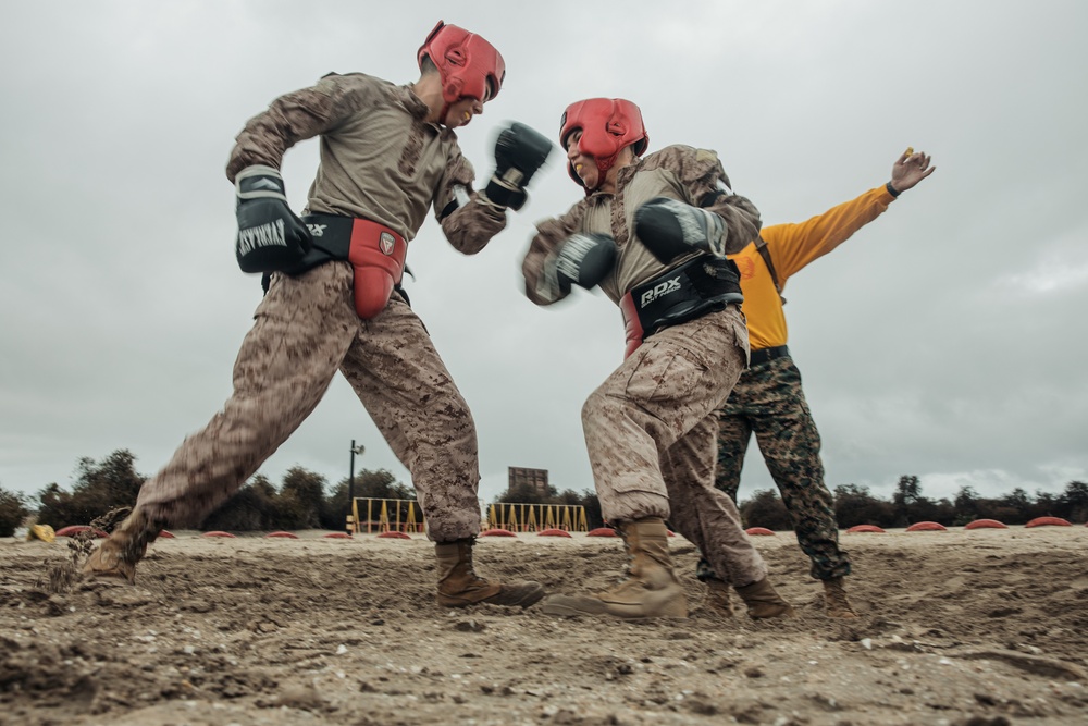 Fox Company Body Sparring