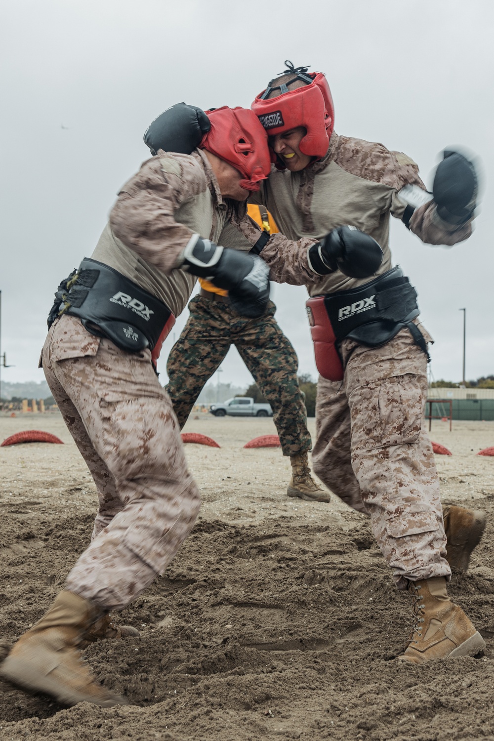 Fox Company Body Sparring