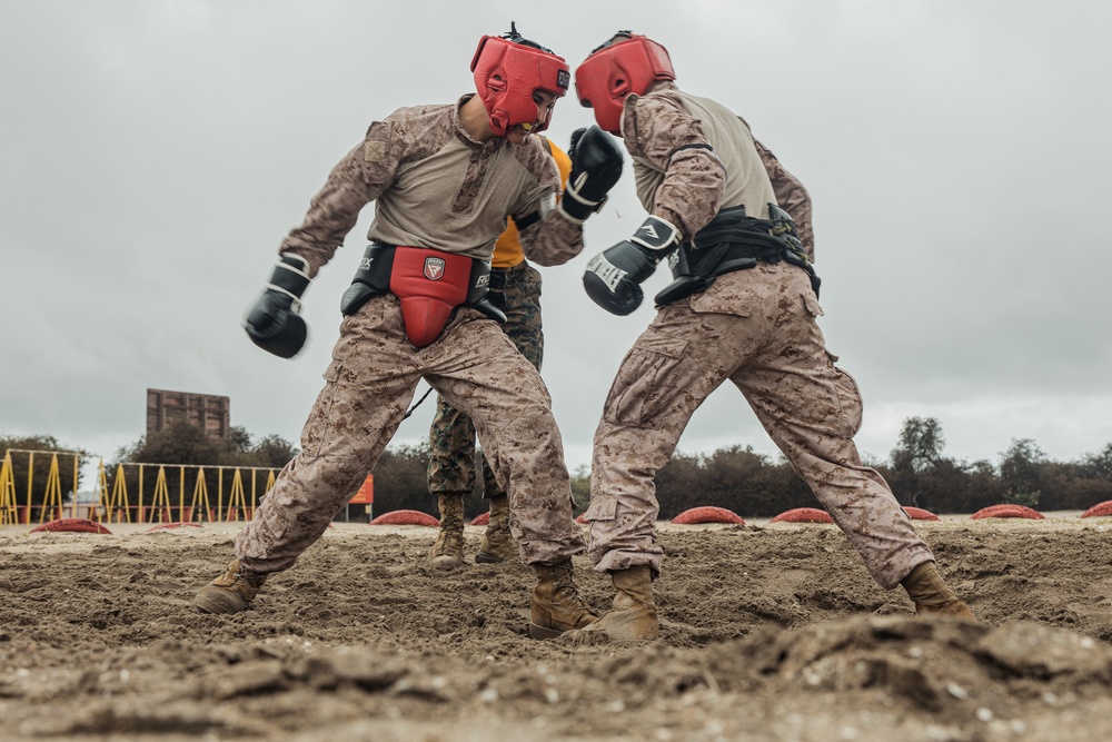 Fox Company Body Sparring