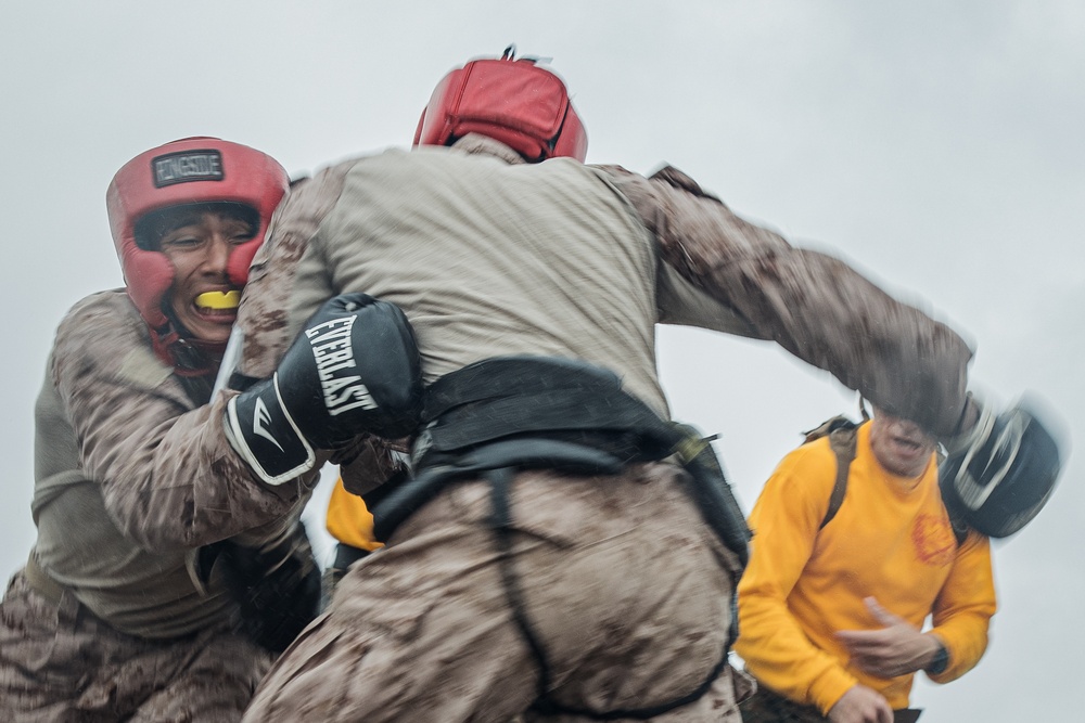 Fox Company Body Sparring
