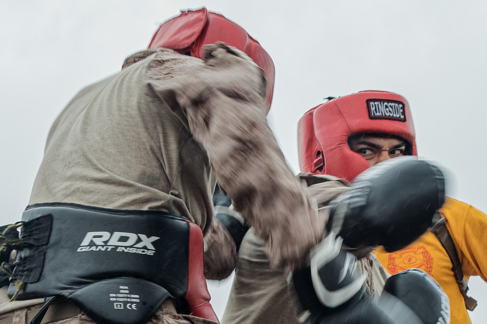 Fox Company Body Sparring