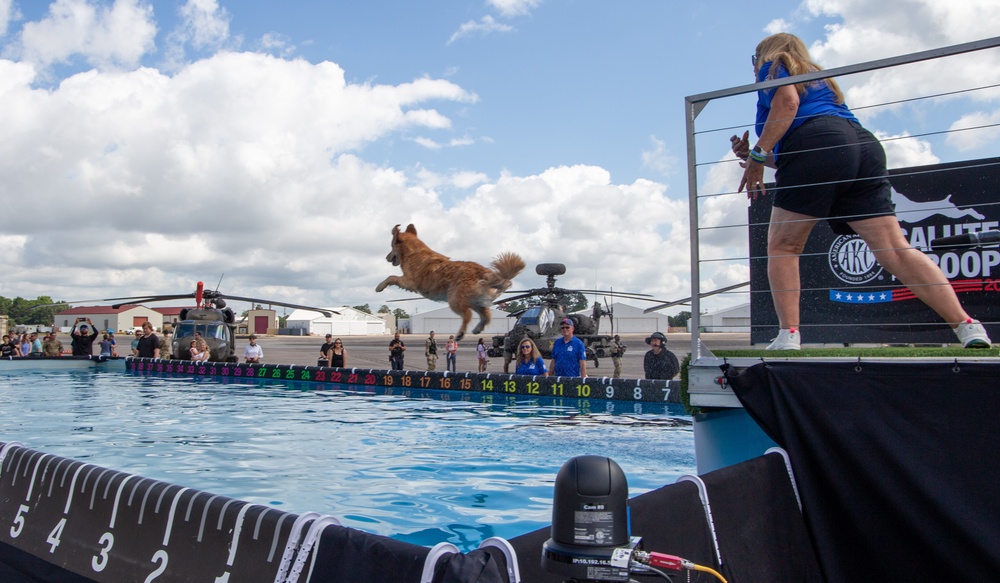 Paws, pride &amp; patriotism: Fort Stewart, Hunter hosts AKC competition for Army 250