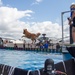 Paws, pride &amp; patriotism: Fort Stewart, Hunter hosts AKC competition for Army 250