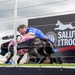 Paws, pride &amp; patriotism: Fort Stewart, Hunter hosts AKC competition for Army 250