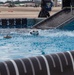 Paws, pride &amp; patriotism: Fort Stewart, Hunter hosts AKC competition for Army 250
