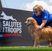 Paws, pride &amp; patriotism: Fort Stewart, Hunter hosts AKC competition for Army 250