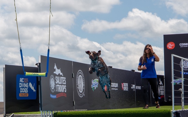 Paws, pride &amp; patriotism: Fort Stewart, Hunter hosts AKC competition for Army 250
