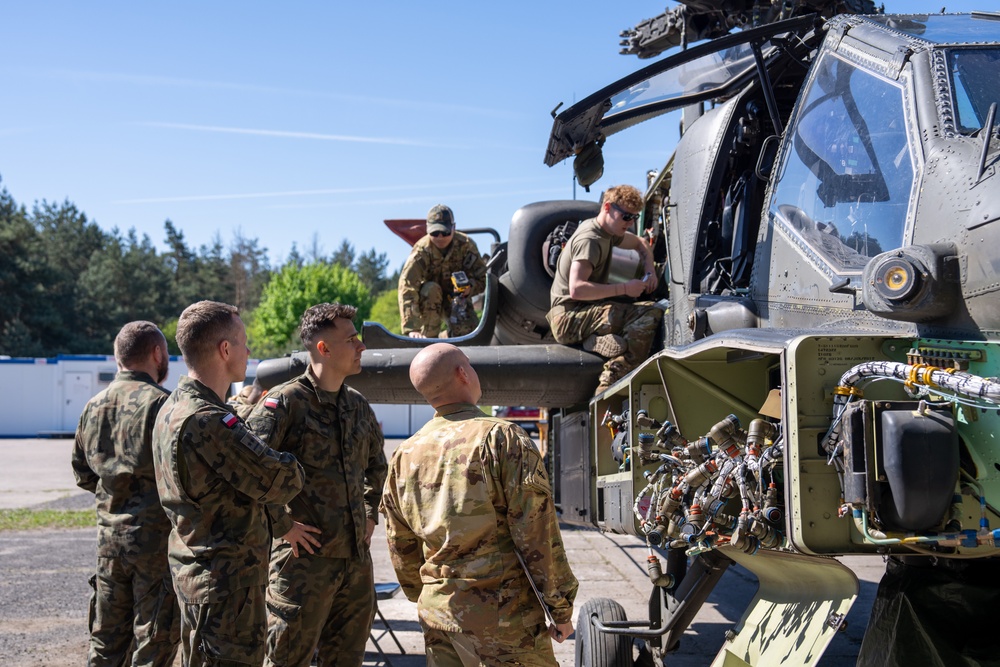 Polish Soldiers Gain Maintenance Experience With 1AD CAB