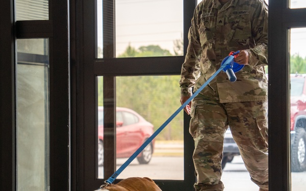 Rocky the bulldog in-processes at 3rd ID