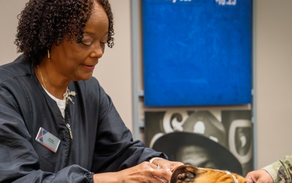 Rocky the bulldog in-processes at 3rd ID