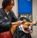 Rocky the bulldog in-processes at 3rd ID