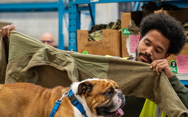 Rocky the bulldog in-processes at 3rd ID