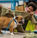 Rocky the bulldog in-processes at 3rd ID
