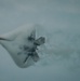 Airpower on display at National Security Forum