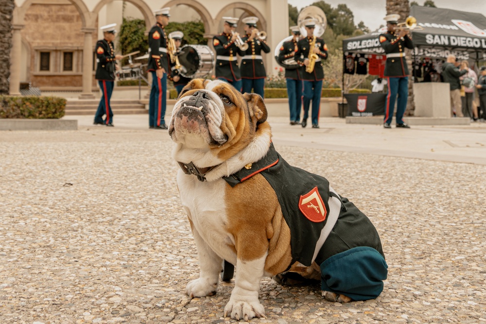 Bruno goes to the SD Legion Rugby Military appreciation game with Marine Band San Diego