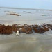 Coast Guard and Louisiana Oil Spill Coordinators Office continue pollution response following wellhead blowout