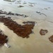 Coast Guard and Louisiana Oil Spill Coordinators Office continue pollution response following wellhead blowout