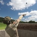 Region II Best Warrior 2025: Day 2